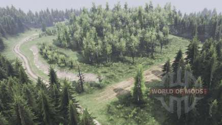 Level 01 для Spin Tires