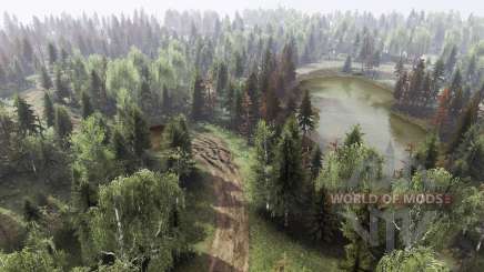 Map Bibi для Spin Tires