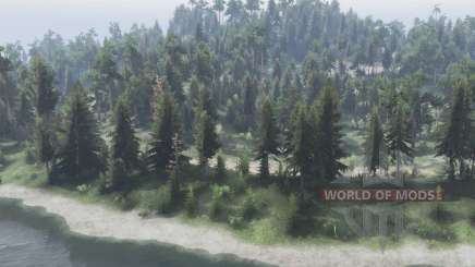 The Forest    Roads для Spin Tires