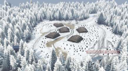Winter  Shipping для Spin Tires