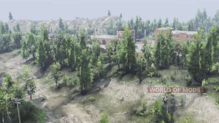 Deciduous    Forest для Spin Tires