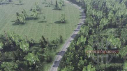 Map      Forest для Spin Tires