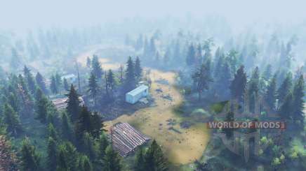 Map  Forestry для Spin Tires