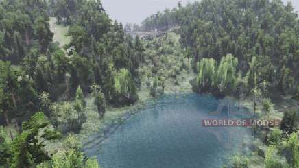 Map 冠状病毒 для Spin Tires