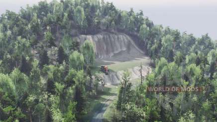 Map    Forest для Spin Tires
