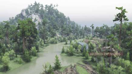 Map   Swamps для Spin Tires