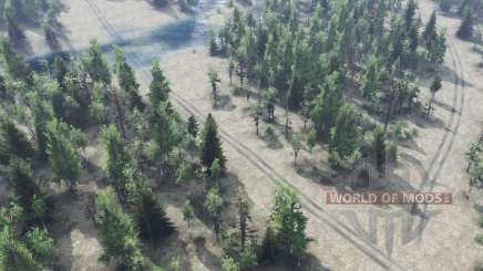 Russian Labyrinth для Spin Tires