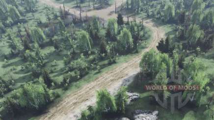 Shabashka for Forestry для Spin Tires