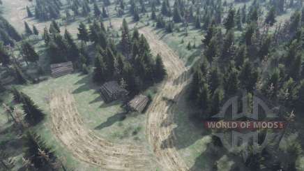 Map        Forest для Spin Tires