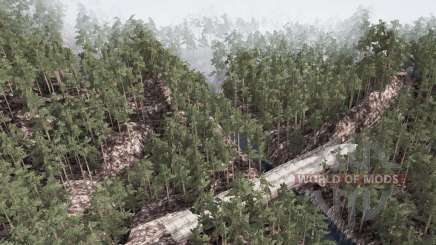 Deep  Forest для MudRunner