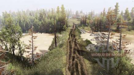 Take the  log для Spin Tires