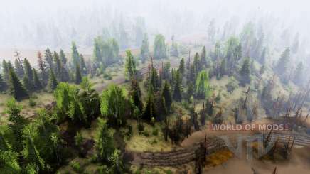 Nostalgia for  default для Spin Tires