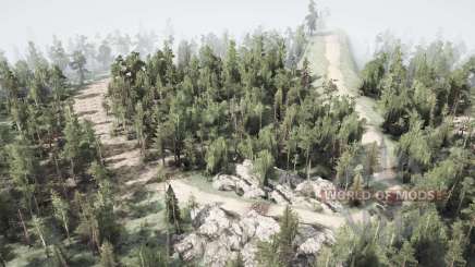 Race with obstacles  3 для MudRunner