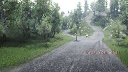 Wedge  5 для Spin Tires