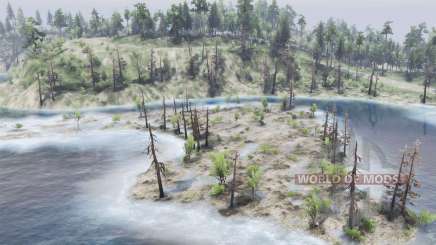 Free The  Zils для Spin Tires