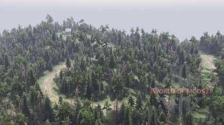 Island of Loading для Spin Tires