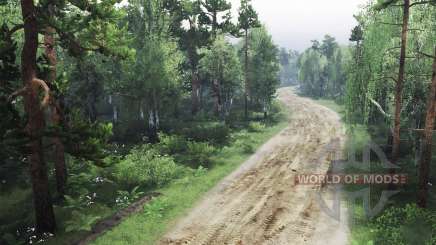 Spooky       Forest для Spin Tires