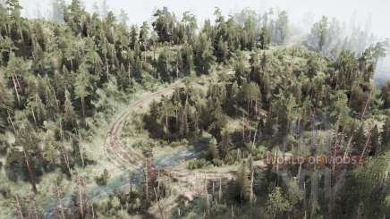 Tynda 7: Gilyuy для MudRunner