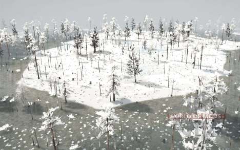 Winter    Swamp для Spintires MudRunner