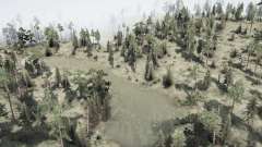 The    Forest для MudRunner