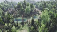 Map              Forest для Spin Tires