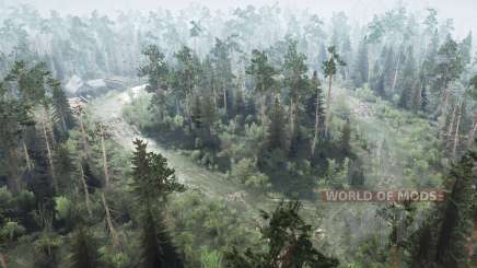 Swampy Forest. Variant 2 для MudRunner