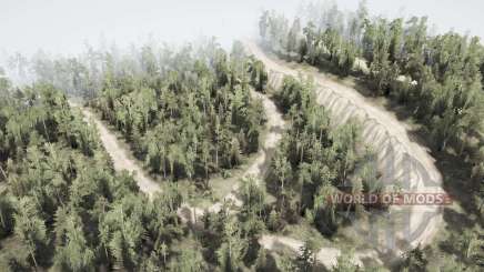 Swamps all around для MudRunner