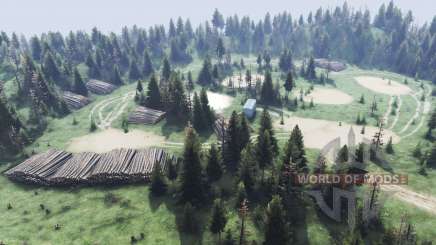 Map             Forest для Spin Tires