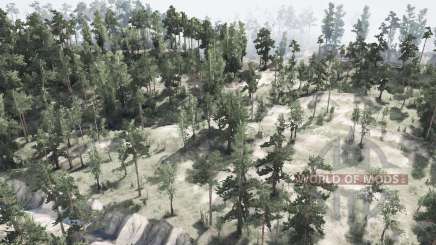 Map            Forest для MudRunner