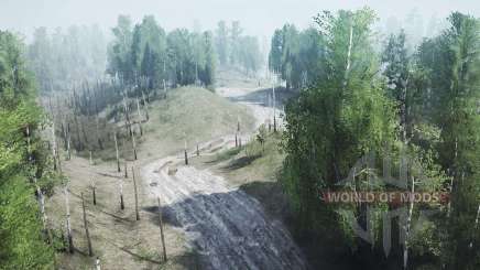 Forest     Shift для MudRunner