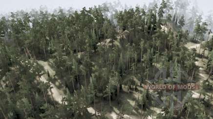 Map  Backwoods для MudRunner