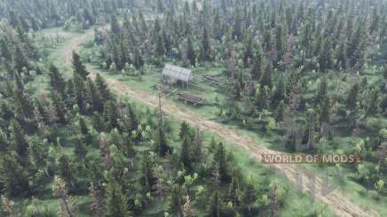 Swamp    Forests для Spin Tires