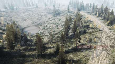 Rare  Forest для MudRunner