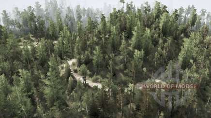 Map   WoodsLight для MudRunner