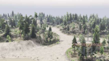 Spooky         Forest для Spin Tires