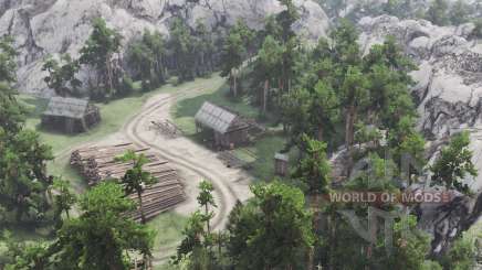 Mountain   Forest для Spin Tires