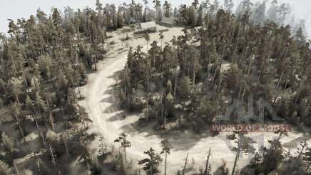 Forest   Roads для MudRunner