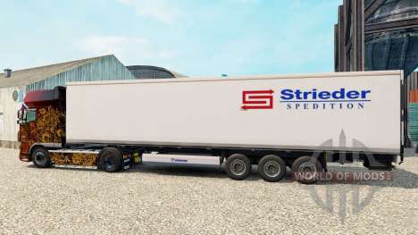 Skin Strieder Spedition для Euro Truck Simulator 2