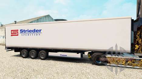Skin Strieder Spedition для Euro Truck Simulator 2