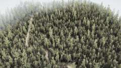 Sirgotcha National   Forest для MudRunner