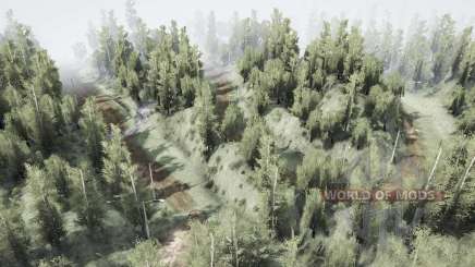 Forest   Race для MudRunner