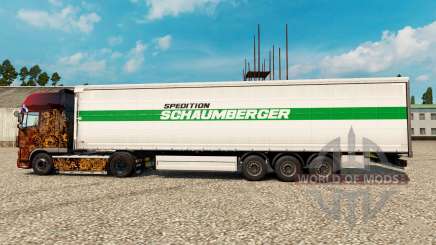Skin Schaumberger Spedition для Euro Truck Simulator 2