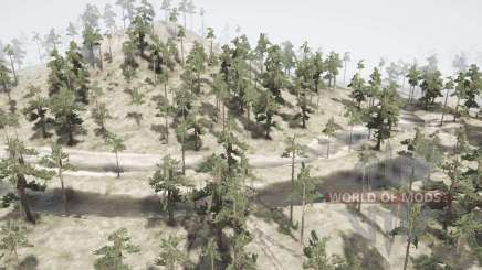 The Forest. Variant    2 для MudRunner