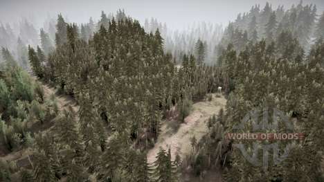 Eifel Forest для Spintires MudRunner
