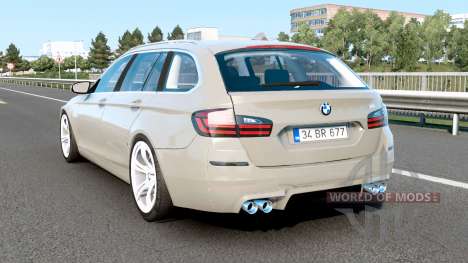 BMW M5 Touring Concept Style (F11) Bison Hide для Euro Truck Simulator 2